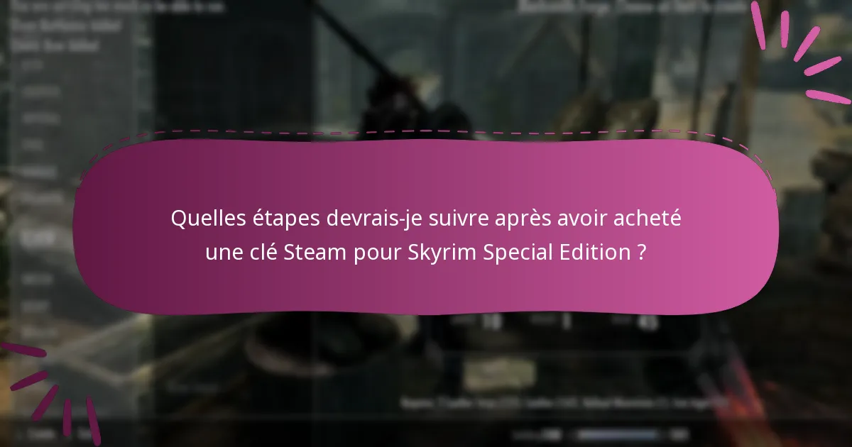 Quels sont les risques potentiels de l’achat d’une clé Steam pour Skyrim Special Edition ?